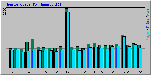 Hourly usage for August 2024