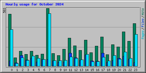 Hourly usage for October 2024