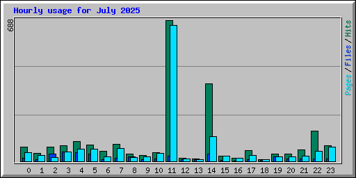 Hourly usage for July 2025
