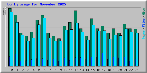 Hourly usage for November 2025