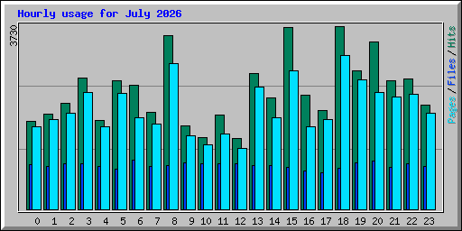 Hourly usage for July 2026