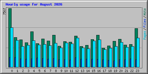 Hourly usage for August 2026