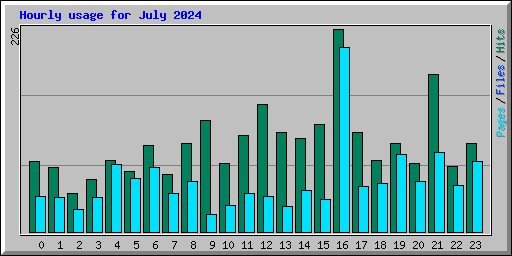 Hourly usage for July 2024