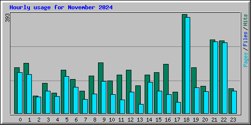 Hourly usage for November 2024