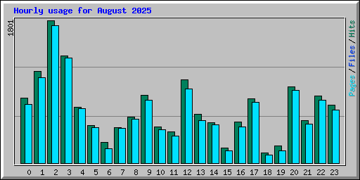 Hourly usage for August 2025