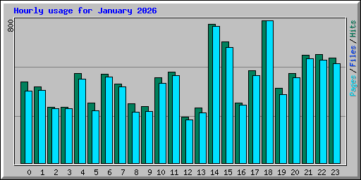 Hourly usage for January 2026